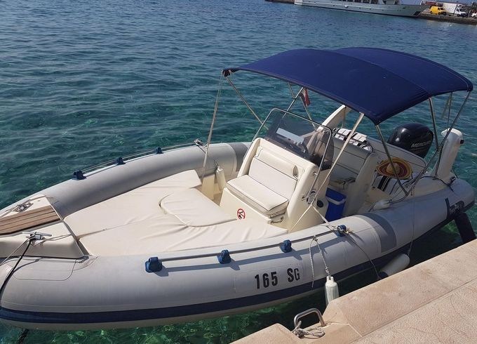Marlin 20