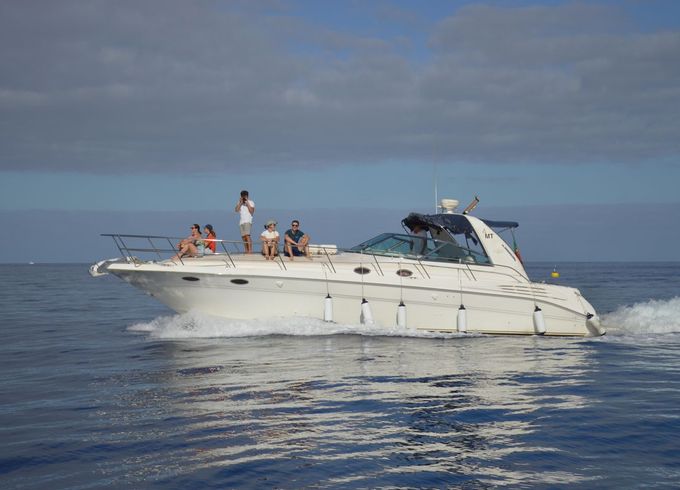 Sea Ray 400 Sundancer