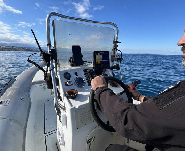 Dolphin 510