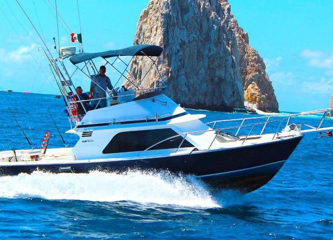 Blackfin 34