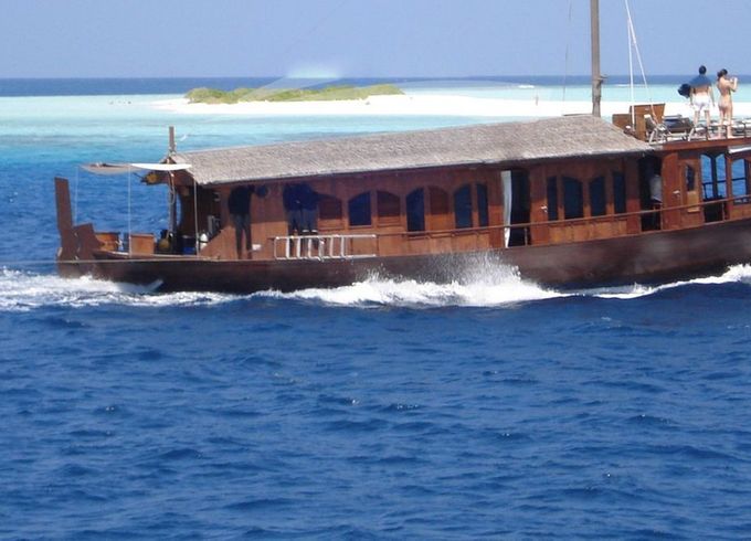 Traditional 71