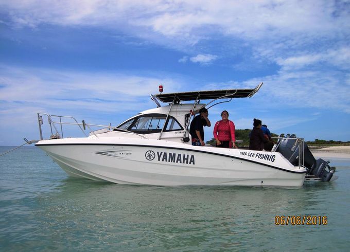 Yamaha Waverunners YF-25