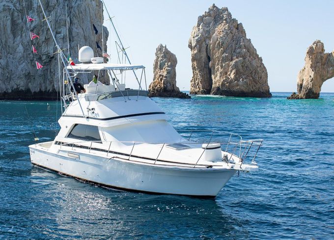 Bertram Convertible