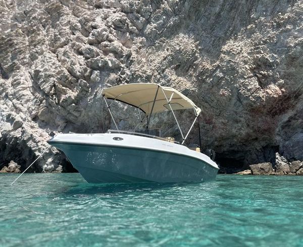 Nireus Optima