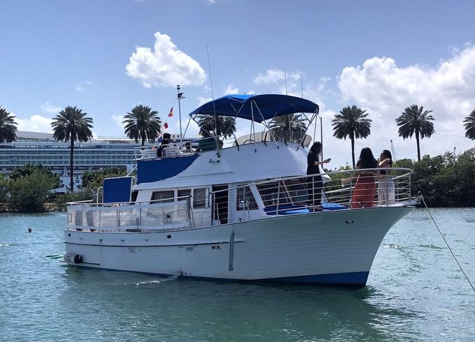 Albin 40 Sundeck