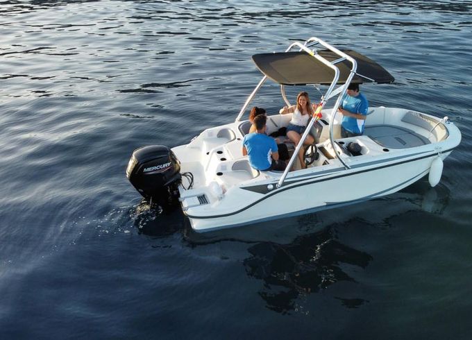 Bayliner M17