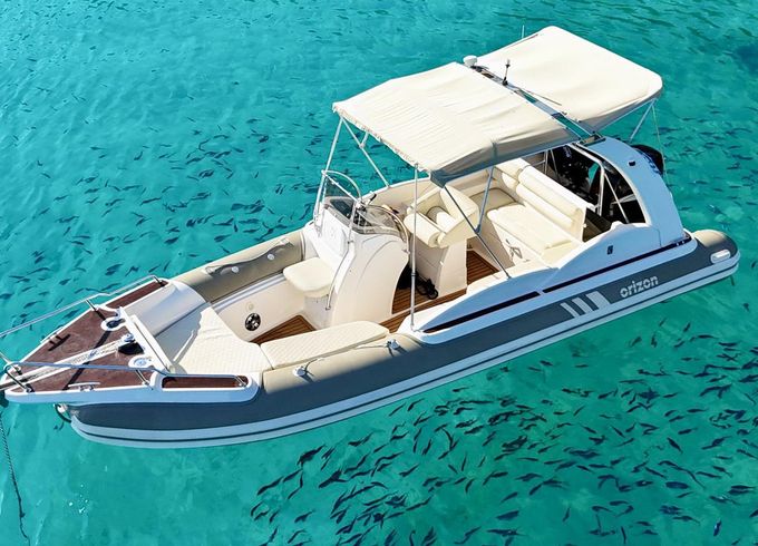Orizon Elite 26
