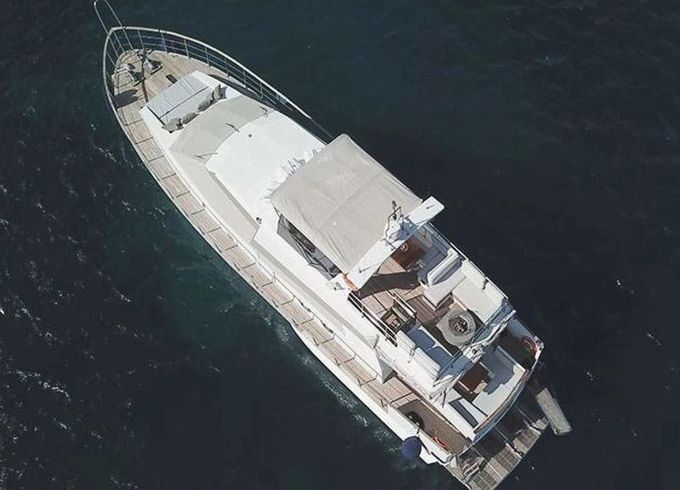 Maiora Renaissance 66