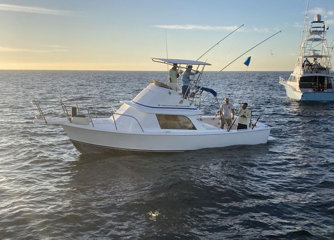 Bertram 31ft