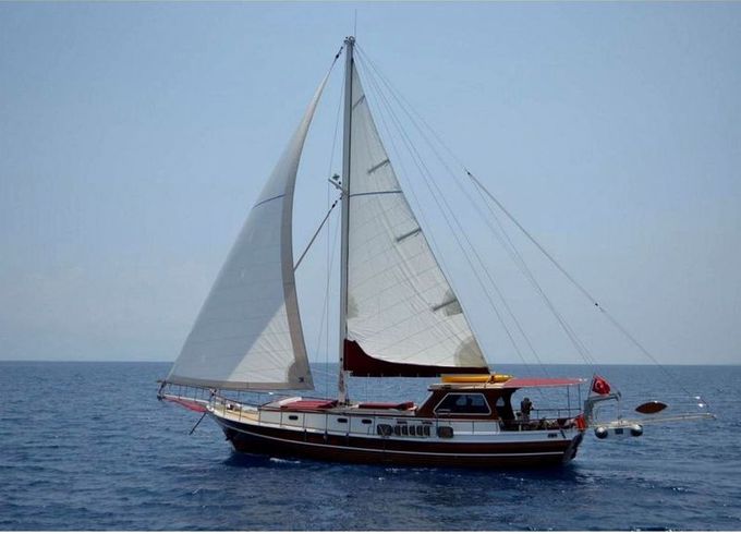 Custom 49 ft
