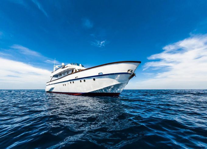 M/Y 65