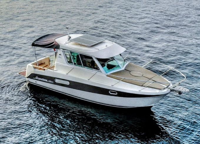 Ocqueteau 815