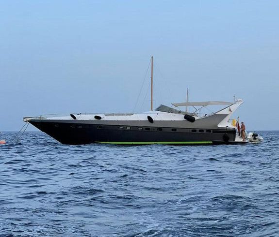 Mangusta 65