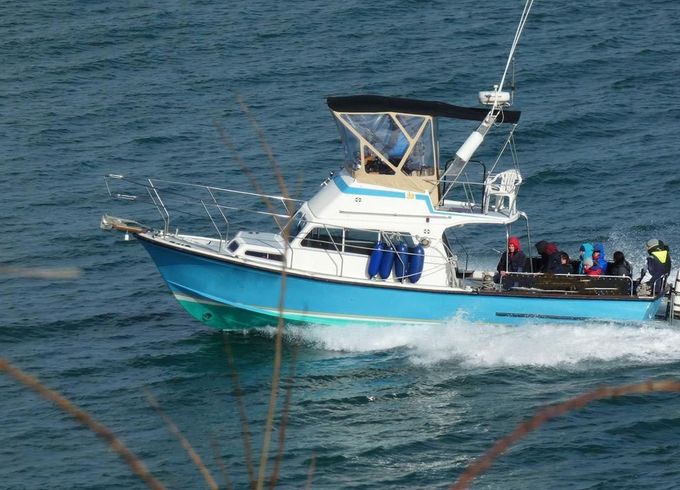 M/B 33 Flybridge