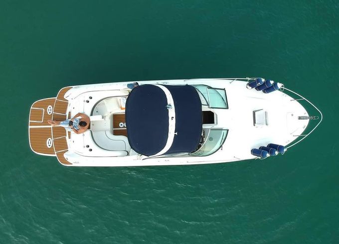 Sea Ray sunsport 295