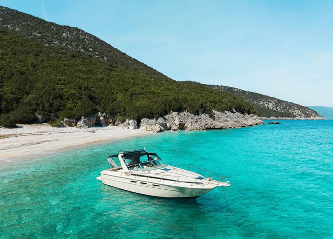 Sea Ray 310 express vanguard
