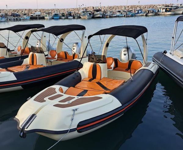 Mostro Family 550