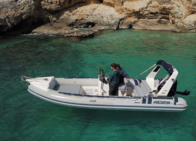 Predator 650