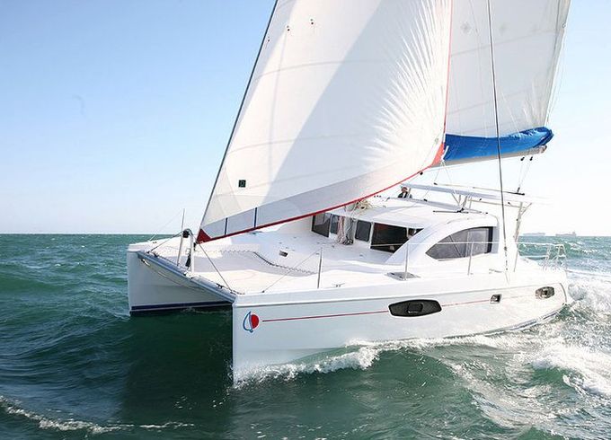 Leopard 38