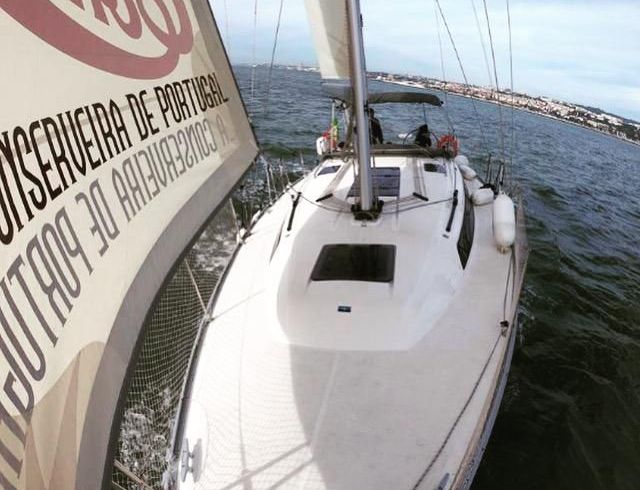 Bavaria 37 cruiser