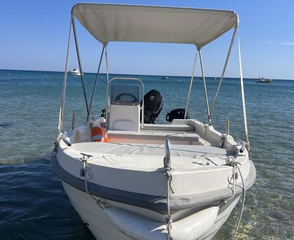 Assos FunBoat 455N