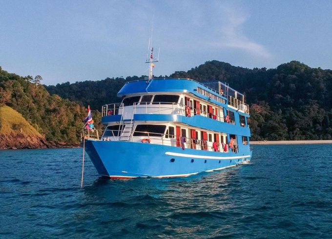 M/Y 82