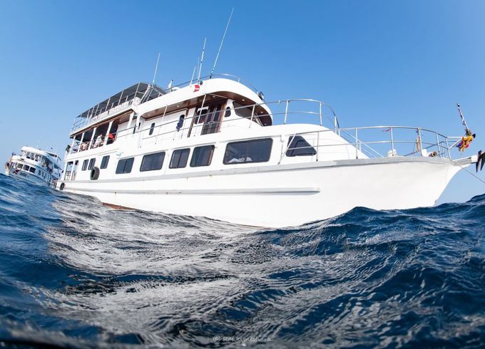 M/Y 89