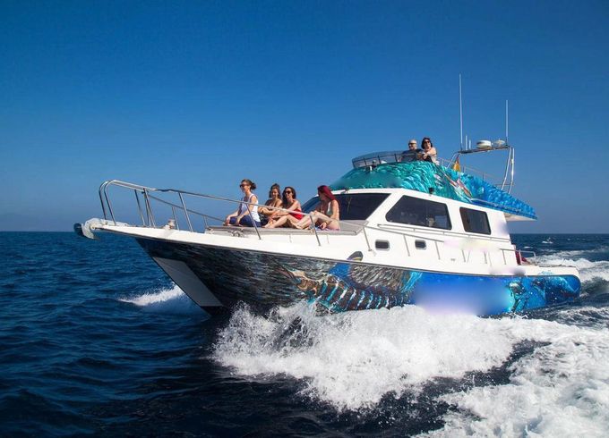 M/Y 43