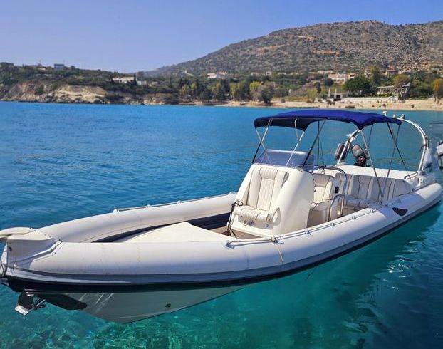 Cobra Rib