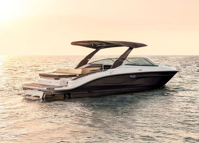 Sea Ray SDX 250