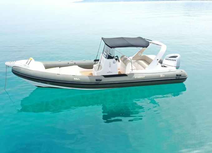 Stingher 800GT