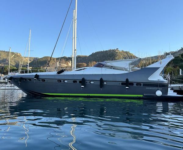 Mangusta 65