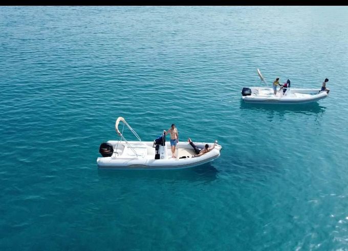 RIB AL100