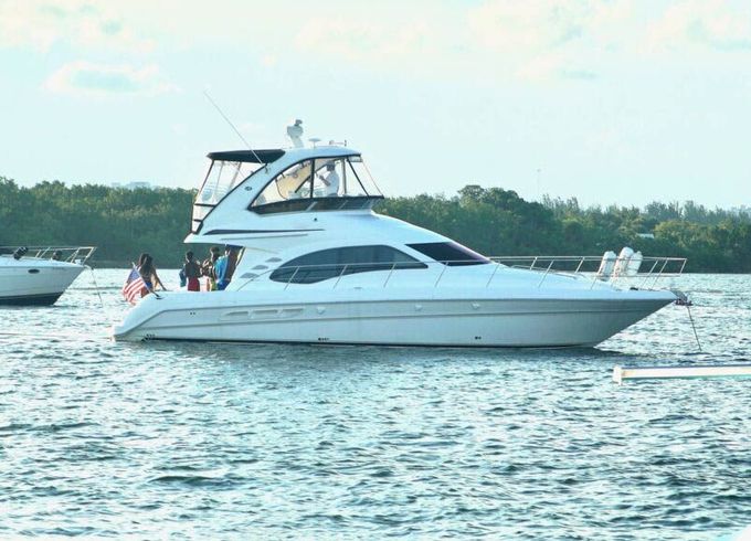 Sea Ray Sedan Bridge 46