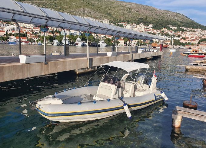 Marlin 20