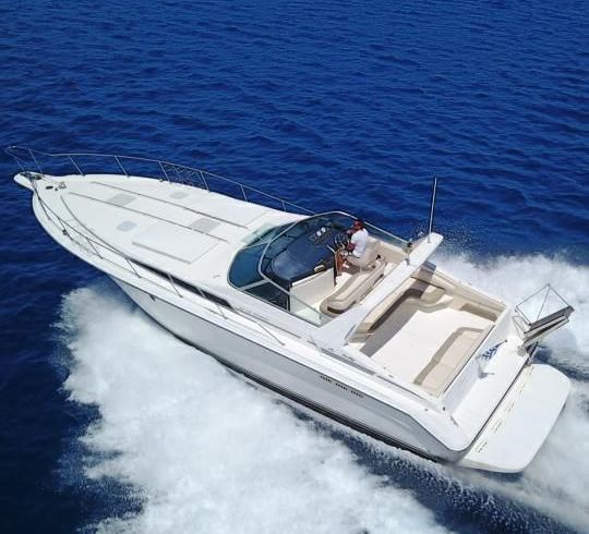 Sea Ray Sundancer 450