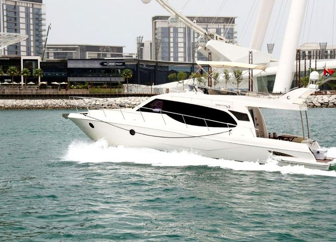 Majesty Oryx 43