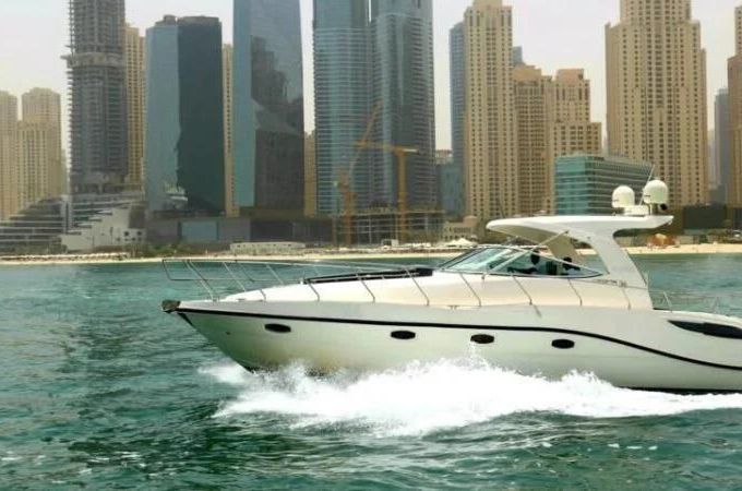 Majesty Oryx 36