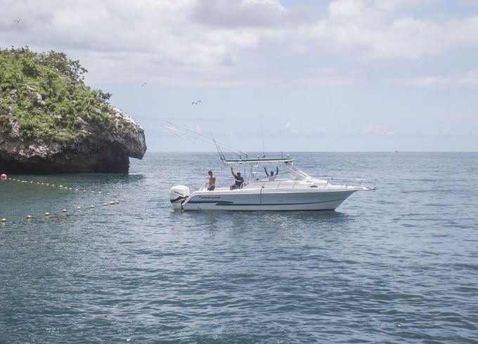 Proline 32 Express
