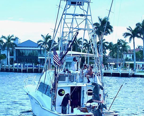 Hatteras Sport fish