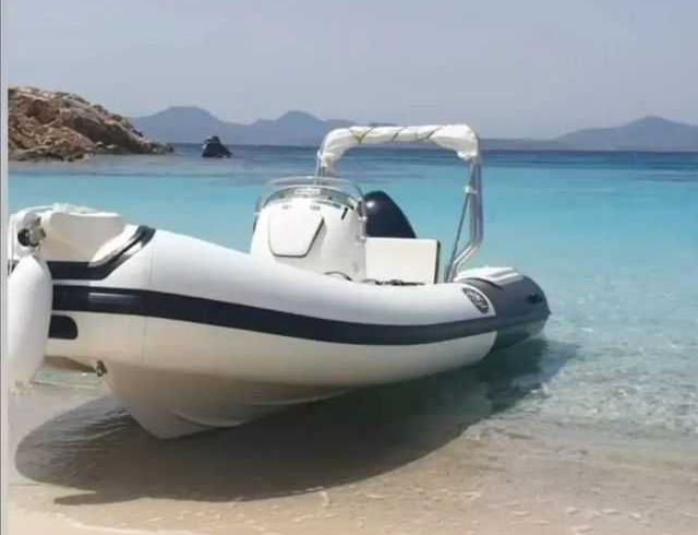 Pegasus G46