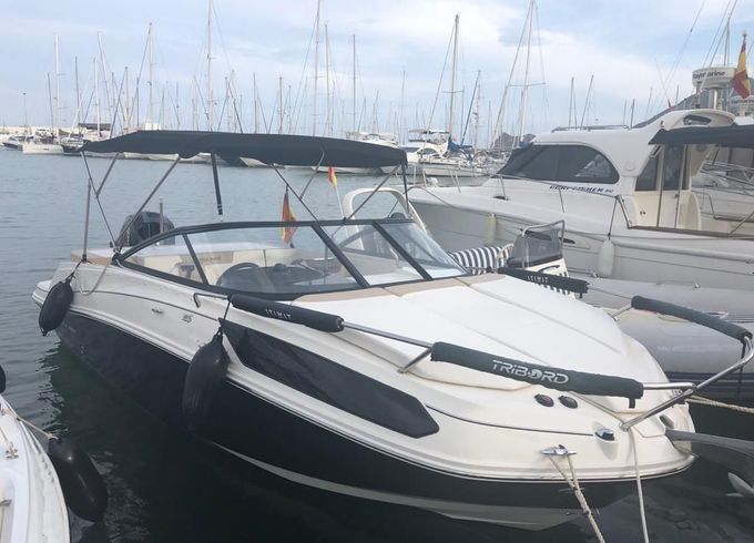 Bayliner Cuddy VR5