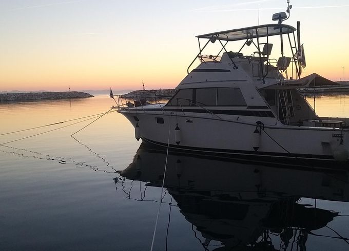 Bertram 38