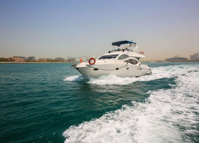 Majesty 50