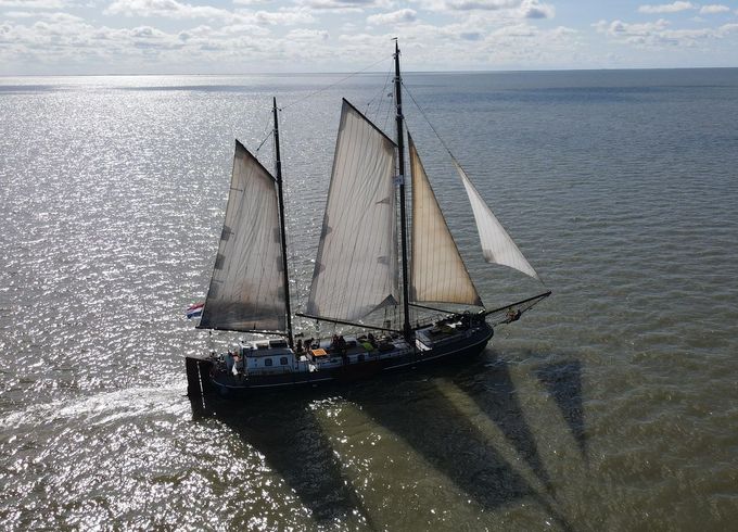 M/S 79
