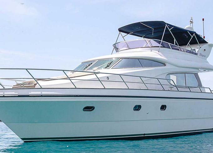 Elegance 54 Fly