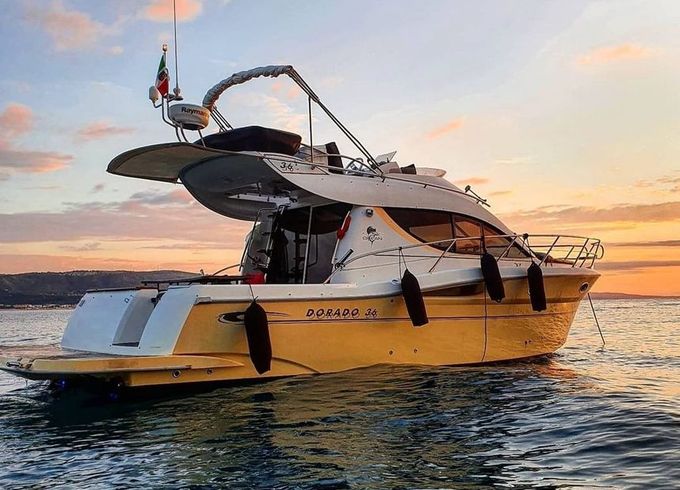 Sessa Dorado 36