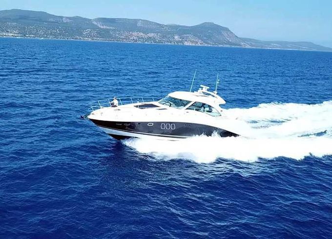M/Y 62