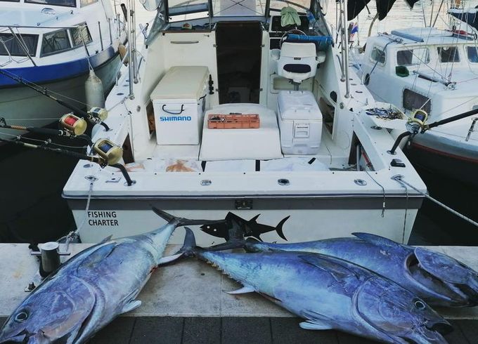 Luhrs 27