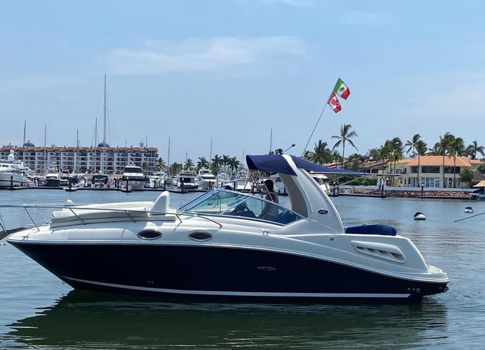 Sea Ray Sundancer 260